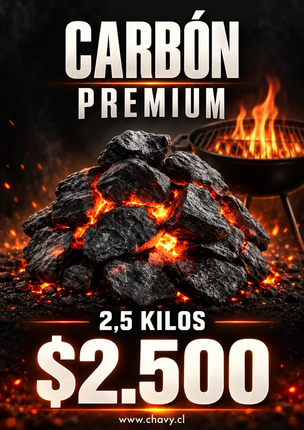 Carbón Bolsa 2.5 Kilos Premium